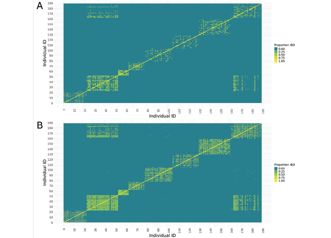Two graphs are shown, one in blue and one in yellow. The blue graph has a line that goes up and down, while the yellow graph has a line that goes up and down in a different direction.

AI generated content