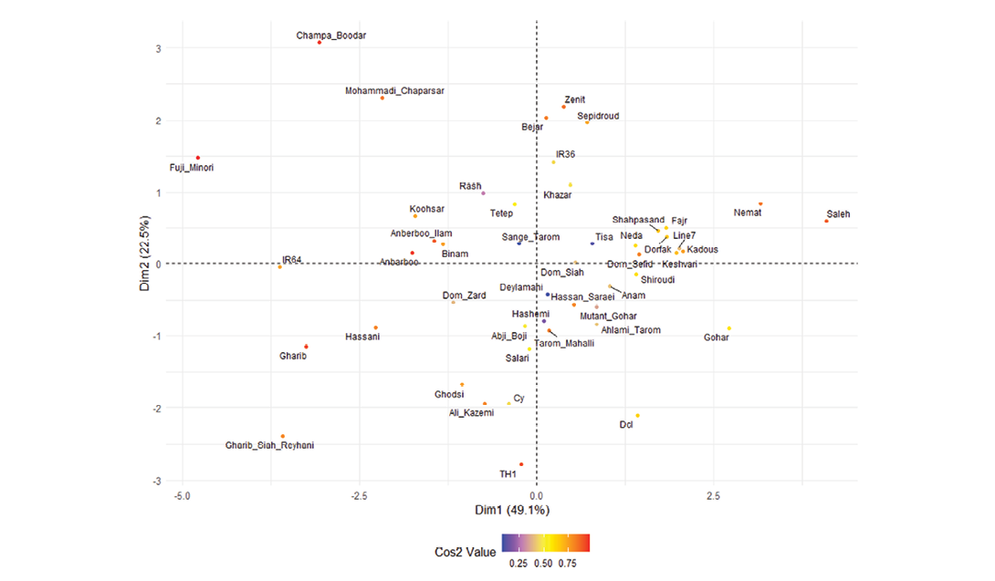 A graph showing the number of people in the US who have a certain condition.

Description generated by AI