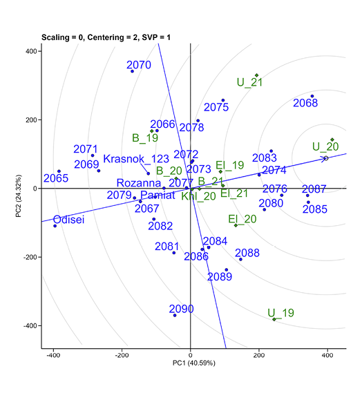 A graph shows the number of people in a city from 2006 to 2019.

AI generated content