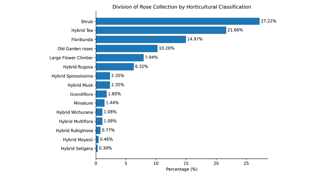 A bar graph showing the percentage of roses in a collection.

Description generated by AI